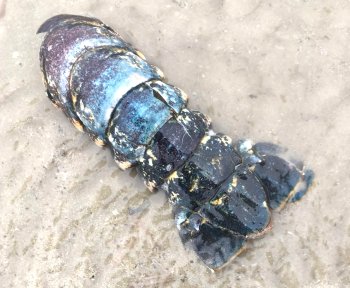 &copy; Casper Meinders